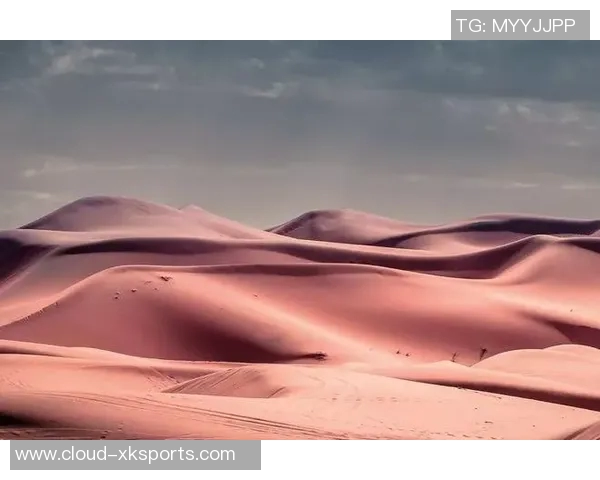 马力克的传奇旅程与不屈精神探索他在音乐与人生中的独特魅力