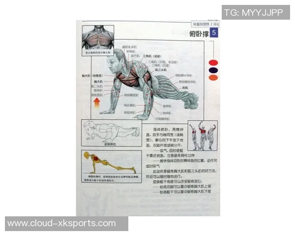 科学安排哑铃一周锻炼计划表助你塑造完美身材与增强肌肉力量